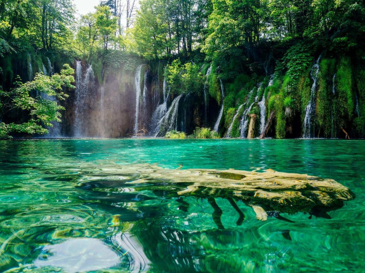 House Matijevic Simic Hotel Grabovac  Kültér fotó
