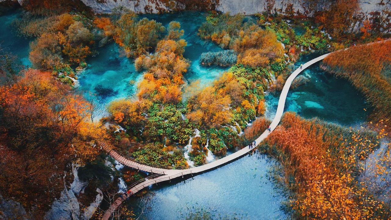House Matijevic Simic Hotel Grabovac  Kültér fotó