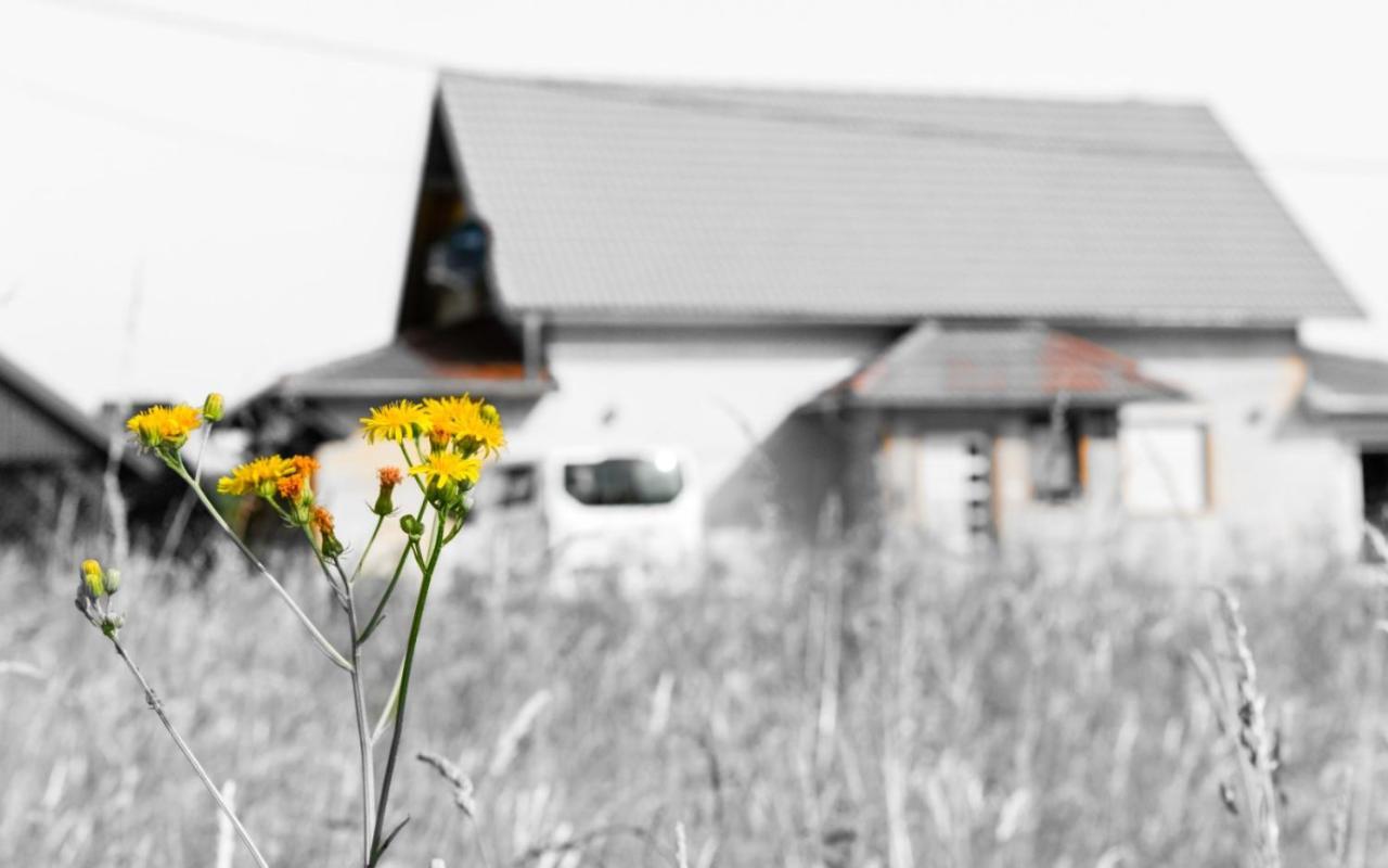 House Matijevic Simic Hotel Grabovac  Kültér fotó